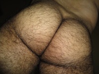 gay photo hairy gay hairy bear ass