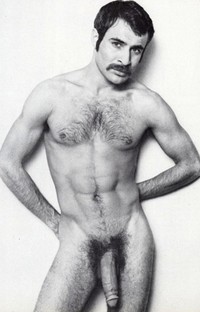 gay porn dick media vintage retro porn dick mustache pornstache gay star hairy cock