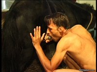 gay porn male sex zoo pics photos male animals bestiality gay animal anal