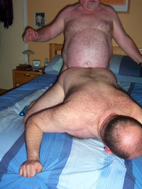 hairy gay bear sex older hairy bear