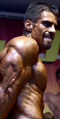 hot male body builders hot male bodybuilders ripped hard handsome