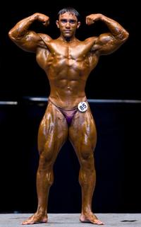 male bodybuilder penis mohammed ahli body builderposing penis line