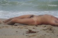 male pictures nude wikipedia commons male nude study beach