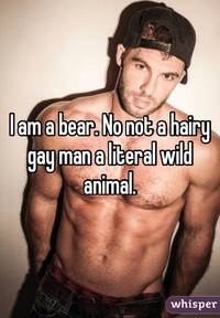 pics of hairy gay men cbcddbb whisper bear hairy gay man literal wild animal