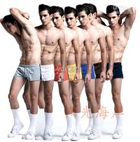 pics of hot sexy guys albu product hot men sexy underwear boxers cotton briefs