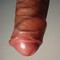 uncut cock