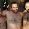 bears gay porn Pics