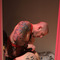 gay Pictures with lots of sex