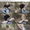 gay porn Picture clips