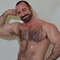 hairy bear gay porn