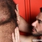 hairy gay sex image