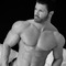 hot male body builders