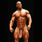 male bodybuilder penis