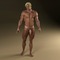 nude hunks pics