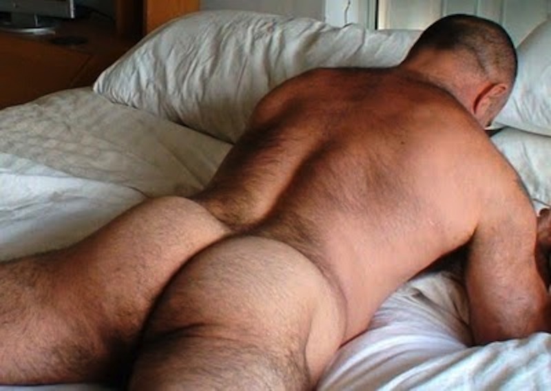 Big Hairy Gay Sex Hairy Gay Bear Nude Ass Beefy Daddy Muscled Entry Muscleb...