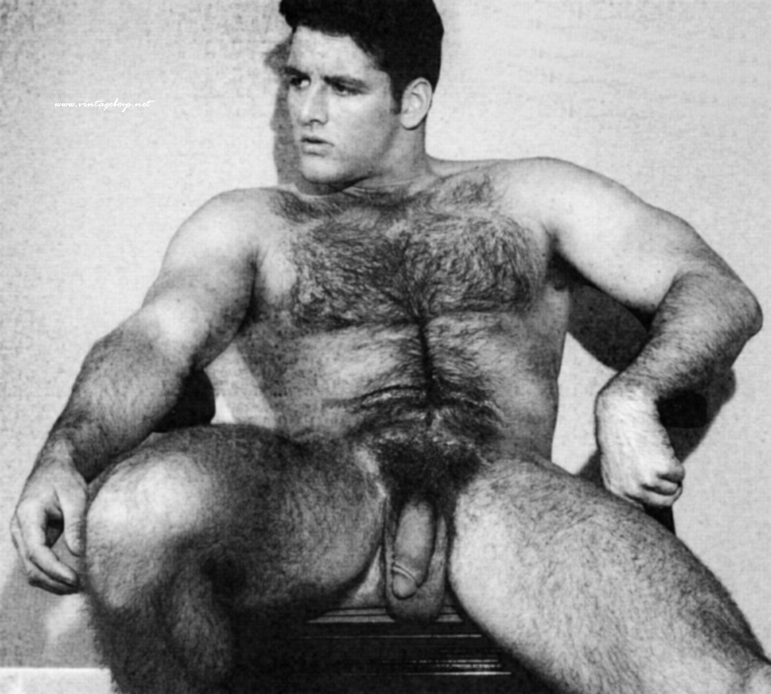 Gay Porn Pic Vintage Gay Vintage Gantz.