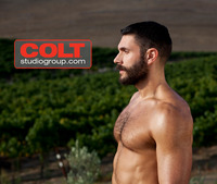 gay porn colt colt bob hager photo category studios